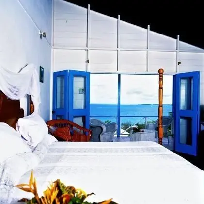 Junior Penthouse