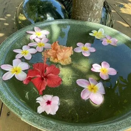 Üç Kişilik Oda, 3 Tek Kişilik Yatak, Sigara İçilmez (for 2-3 guest)