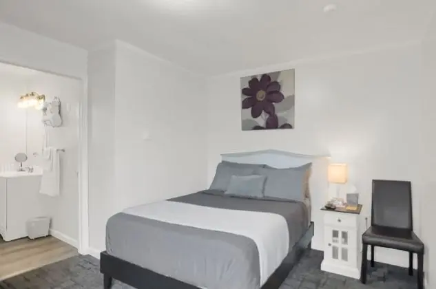Standard Oda, Sigara İçilmez (Pet Friendly)