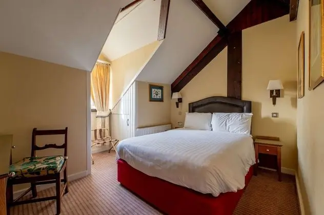 Standard Oda, 1 Çift Kişilik Yatak, Sigara İçilmez (Canopy Bed)