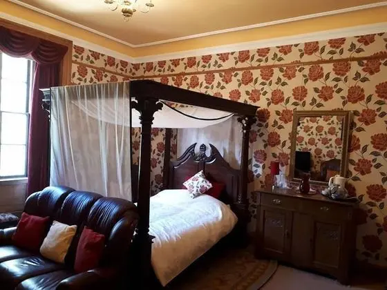 Deluxe Tek Büyük Yataklı Oda, 1 Çift Kişilik Yatak, Sigara İçilmez