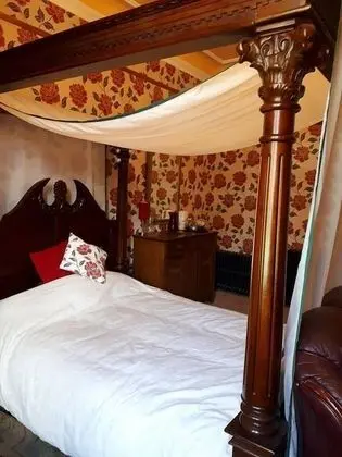 Deluxe Tek Büyük Yataklı Oda, 1 Çift Kişilik Yatak, Sigara İçilmez