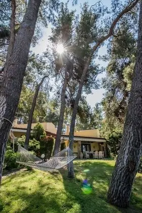 Superior Villa