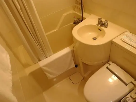 Standard Tek Kişilik Oda, 1 Büyük (Queen) Boy Yatak, Sigara İçilebilir