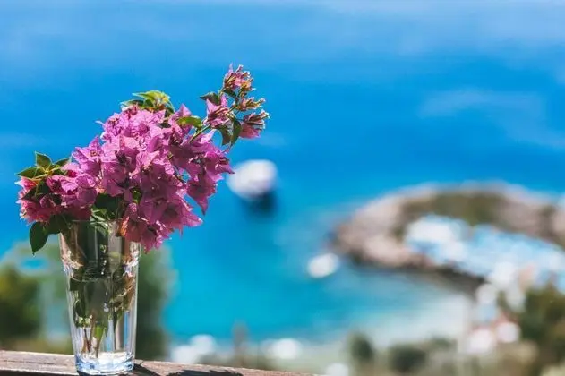 İki Ayrı Yataklı Oda, Deniz Manzaralı, Balkonlu