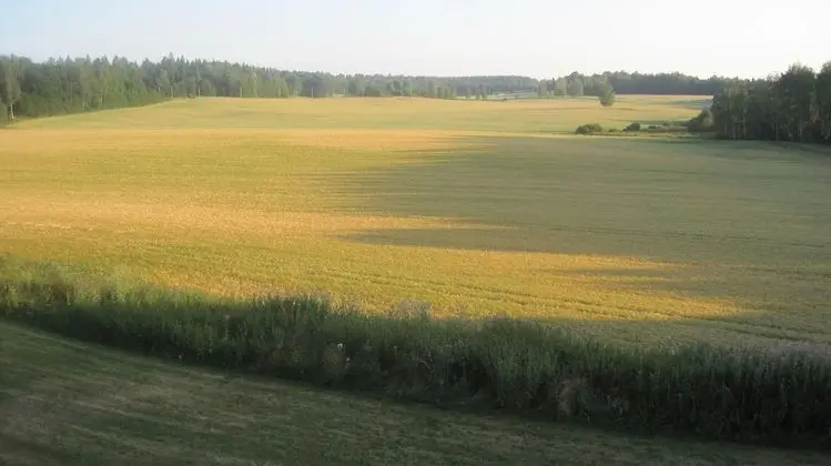 Standard Tek Kişilik Oda, Ek Bina