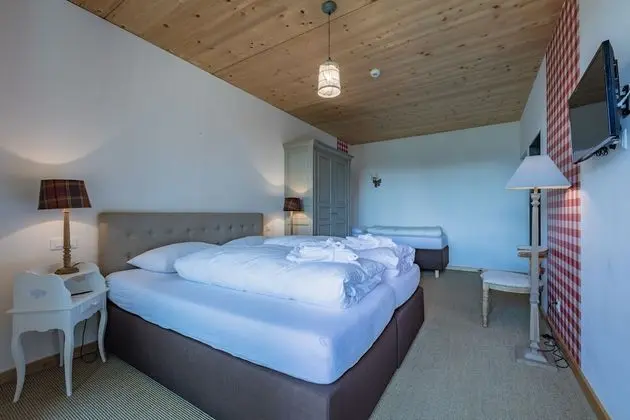 Superior Tek Büyük Yataklı Oda, Dağ Manzaralı