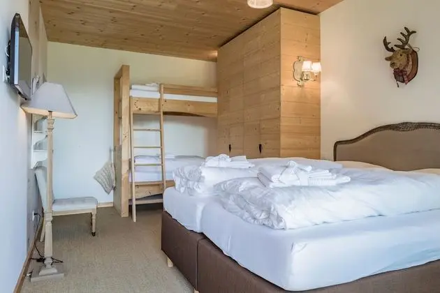 Superior Tek Büyük Yataklı Oda, Dağ Manzaralı