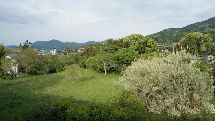 Family Dört Kişilik Oda (Japanese Style)