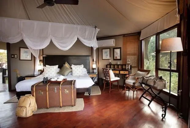 Süit