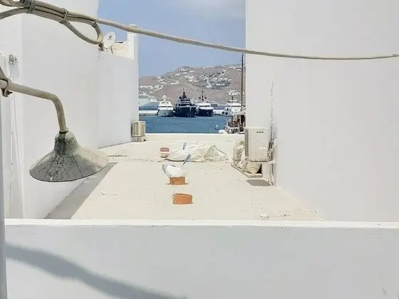 Oda, 1 Çift Kişilik Yatak ve Çekyat (Hammamet 1)