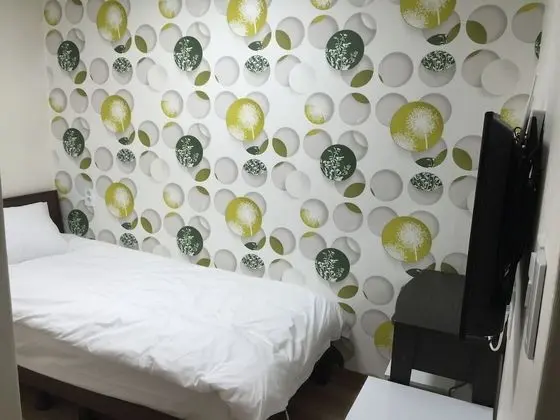 Tek Kişilik Oda (Bigger than most rooms in Seoul)