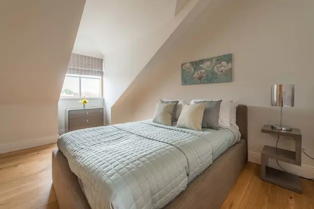 Çatı Katı Süiti (Penthouse)