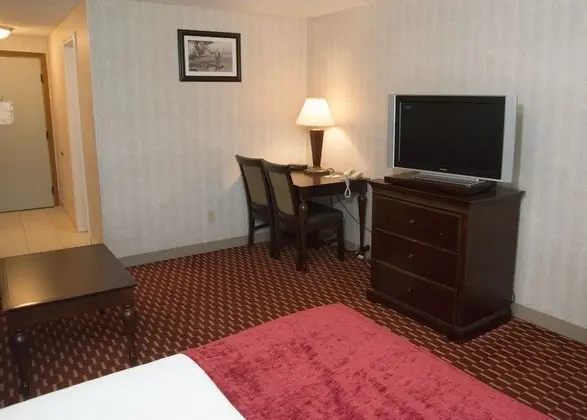 Single Queen with Pull Out Sofa