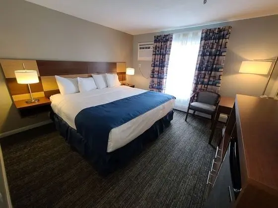 Standard Oda, 1 En Büyük (King) Boy Yatak, Sigara İçilmez