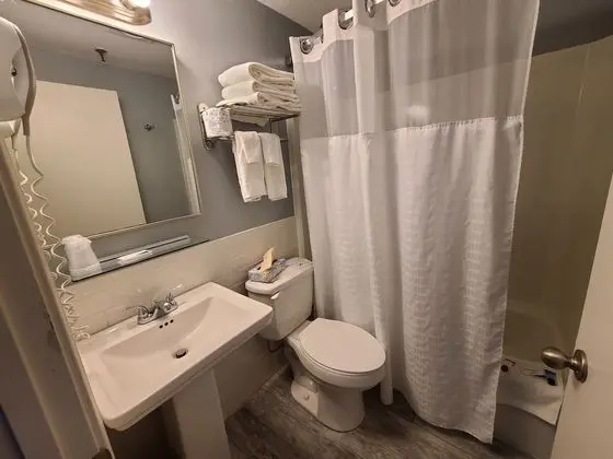 Standard Oda, 1 En Büyük (King) Boy Yatak, Sigara İçilmez