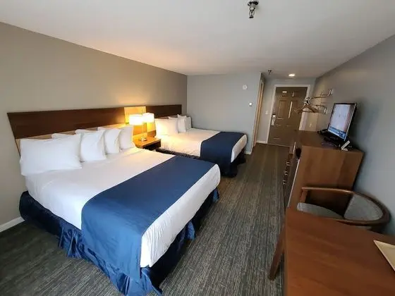 Standard Oda, 2 Büyük (Queen) Boy Yatak, Sigara İçilmez