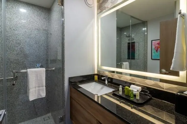 Business Oda, 1 En Büyük (King) Boy Yatak, Buzdolabı ve Mikrodalga (Wet bar)