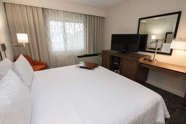 King Room, Engellilere Uygun, Küvet