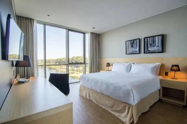 Süit