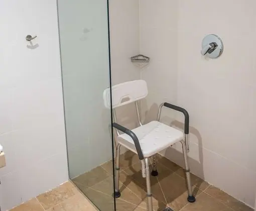 Queen Accesible Room W/Roll-in Shower Ns