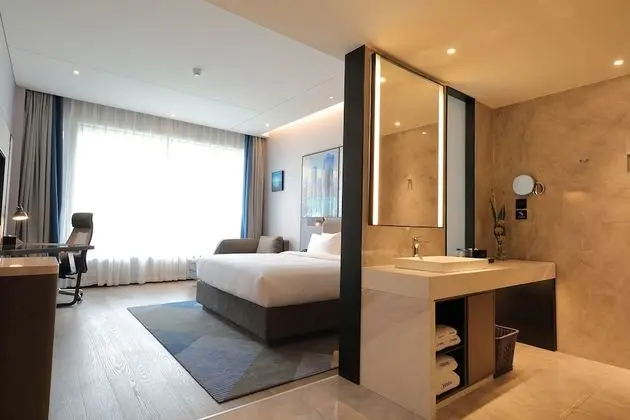 Superior Tek Büyük Yataklı Oda