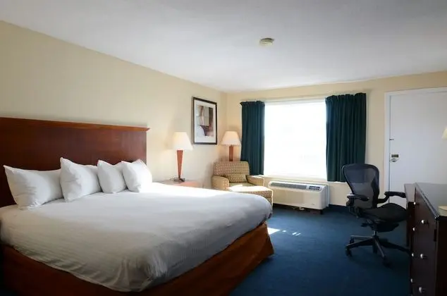 Standard Oda, 1 En Büyük (King) Boy Yatak, Sigara İçilmez, Kısmi Deniz Manzarası