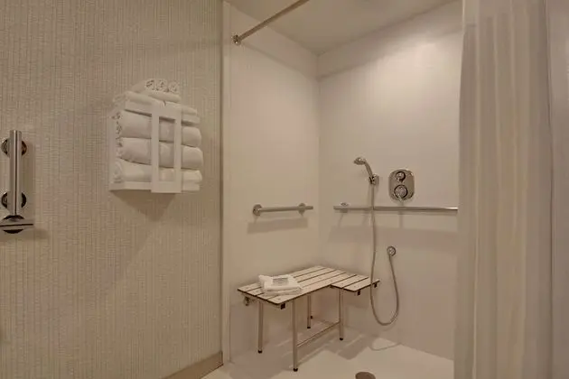 Oda, 1 En Büyük (King) Boy Yatak, Engellilere Uygun, Sigara İçilmez (Roll-In Shower)