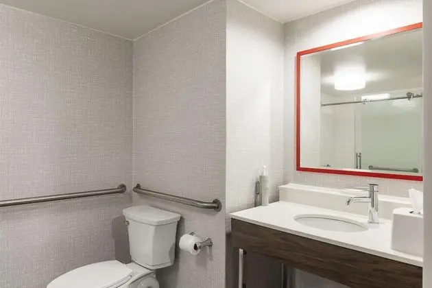 Oda, 1 En Büyük (King) Boy Yatak, Engellilere Uygun, Sigara İçilmez (Roll-In Shower)