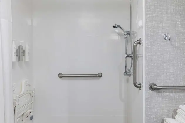 Oda, 1 En Büyük (King) Boy Yatak, Engellilere Uygun, Sigara İçilmez (Roll-In Shower)