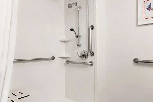 Oda, Engellilere Uygun, Sigara İçilmez (Roll-in Shower)