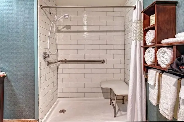 Oda, 1 En Büyük (King) Boy Yatak, Engellilere Uygun (Roll-In Shower)