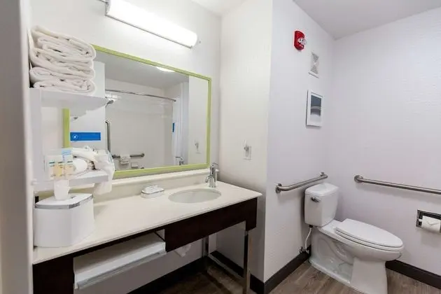 Oda, 1 En Büyük (King) Boy Yatak, Engellilere Uygun, Sigara İçilmez (Bathtub)