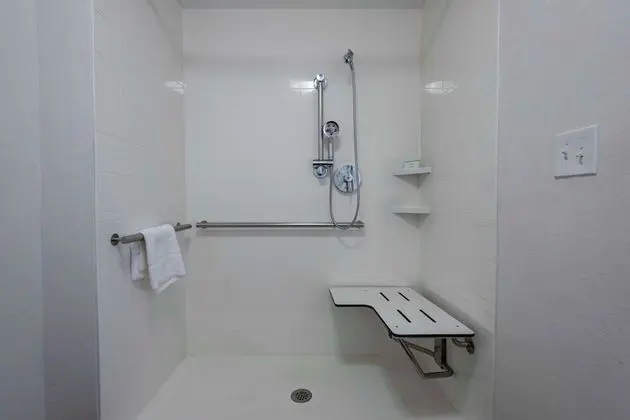 Süit, 1 En Büyük (King) Boy Yatak, Engellilere Uygun, Sigara İçilmez (Roll-in Shower)