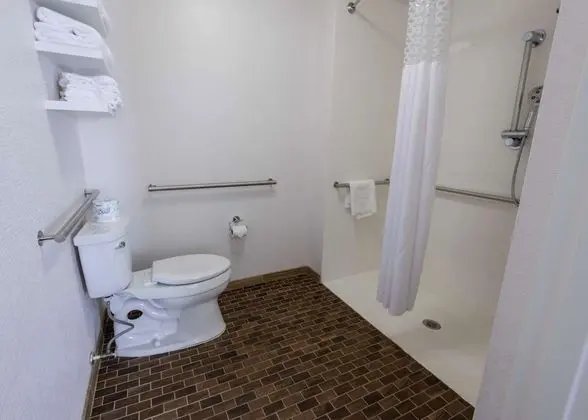 Süit, 1 En Büyük (King) Boy Yatak, Engellilere Uygun, Sigara İçilmez (Roll-in Shower)