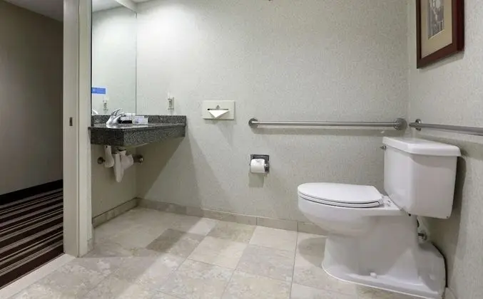Standard Oda, 1 Çift Kişilik Yatak ve Çekyat, Engellilere Uygun (Roll-In Shower)