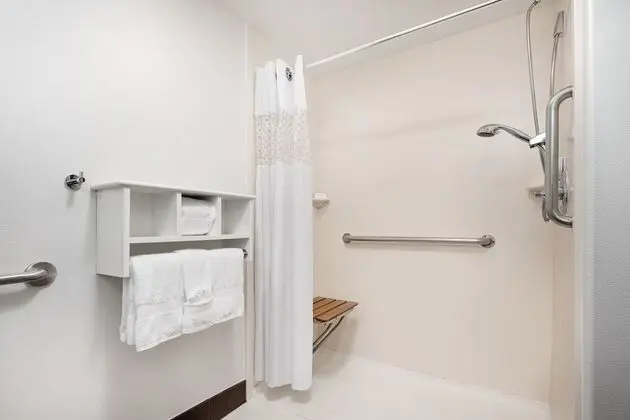 Oda, Engellilere Uygun, Sigara İçilmez (Roll-in Shower)