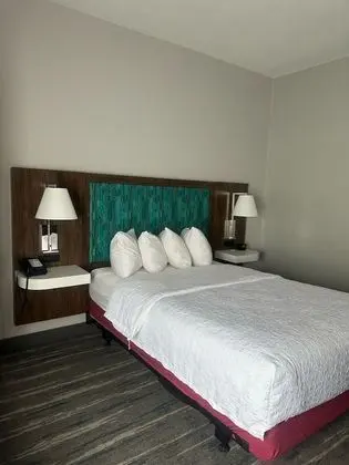 Oda, 1 Çift Kişilik Yatak, Engellilere Uygun (Roll-in Shower)