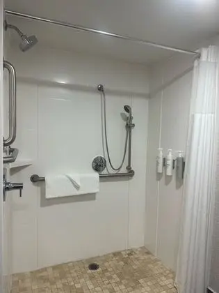 Oda, 1 Çift Kişilik Yatak, Engellilere Uygun (Roll-in Shower)