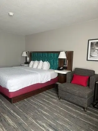 Standard Oda, 1 En Büyük (King) Boy Yatak, Sigara İçilmez