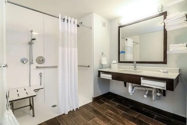 Stüdyo, 1 En Büyük (King) Boy Yatak, Engellilere Uygun (Roll-In Shower)