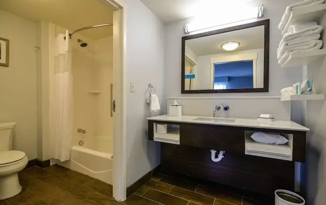 Stüdyo, 2 Büyük (Queen) Boy Yatak, Buzdolabı ve Mikrodalga (Wet Bar)