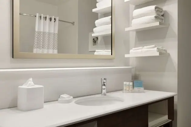 Oda, 1 En Büyük (King) Boy Yatak, Engellilere Uygun, Sigara İçilmez (Roll-in Shower)