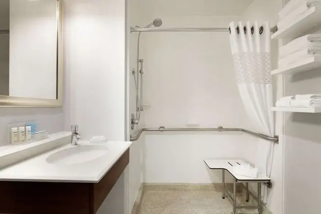 Oda, 1 En Büyük (King) Boy Yatak, Engellilere Uygun, Sigara İçilmez (Roll-in Shower)