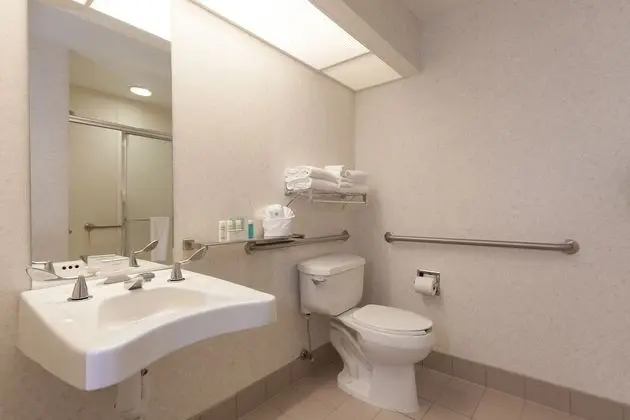 Standard Oda, 1 En Büyük (King) Boy Yatak, Engellilere Uygun (Roll-In Shower)