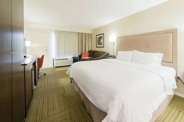 Oda, 1 En Büyük (King) Boy Yatak ve Çekyat (Study)