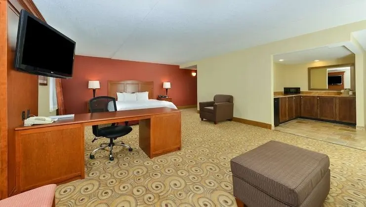 Executive Oda, 1 En Büyük (King) Boy Yatak, Sigara İçilmez, Buzdolabı ve Mikrodalga (Wet Bar)