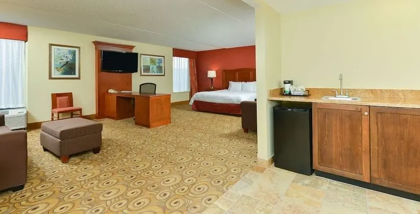 Executive Oda, 1 En Büyük (King) Boy Yatak, Sigara İçilmez, Buzdolabı ve Mikrodalga (Wet Bar)