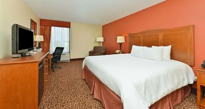 Executive Oda, 1 En Büyük (King) Boy Yatak, Sigara İçilmez, Buzdolabı ve Mikrodalga (Wet Bar)
