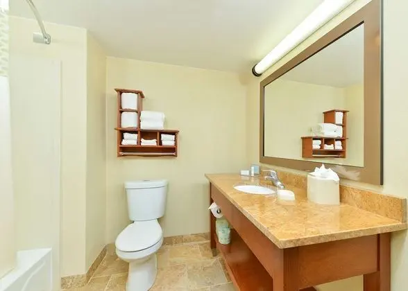 Executive Oda, 1 En Büyük (King) Boy Yatak, Sigara İçilmez, Buzdolabı ve Mikrodalga (Wet Bar)